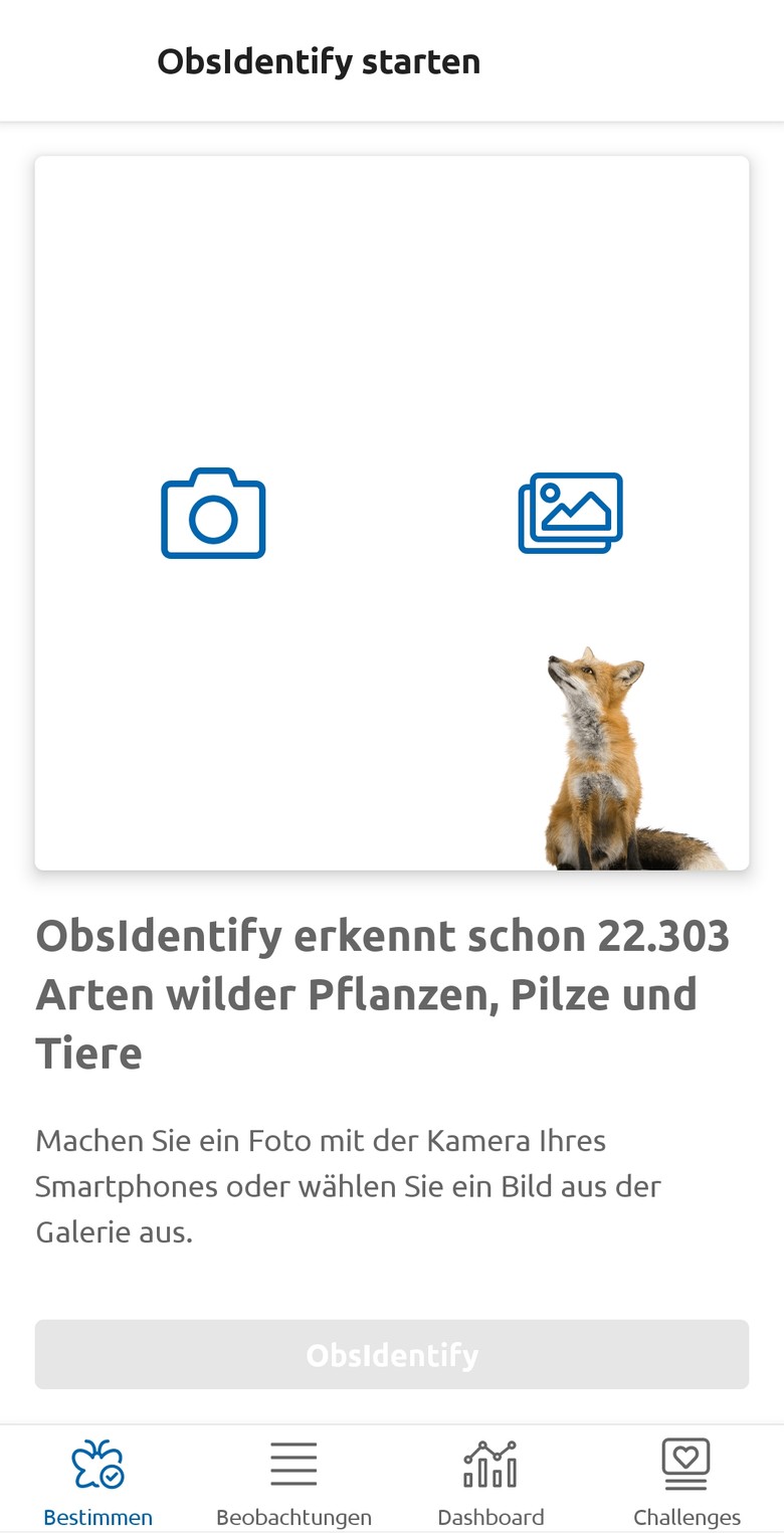 Die Startseite der App ObsIdentify. Screenshot: LWL/Mollmann