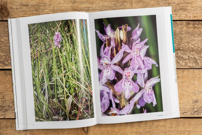 Innenansicht des Buches "Die Orchideen Nordrhein-Westfalens". Foto: LWL/Steinweg