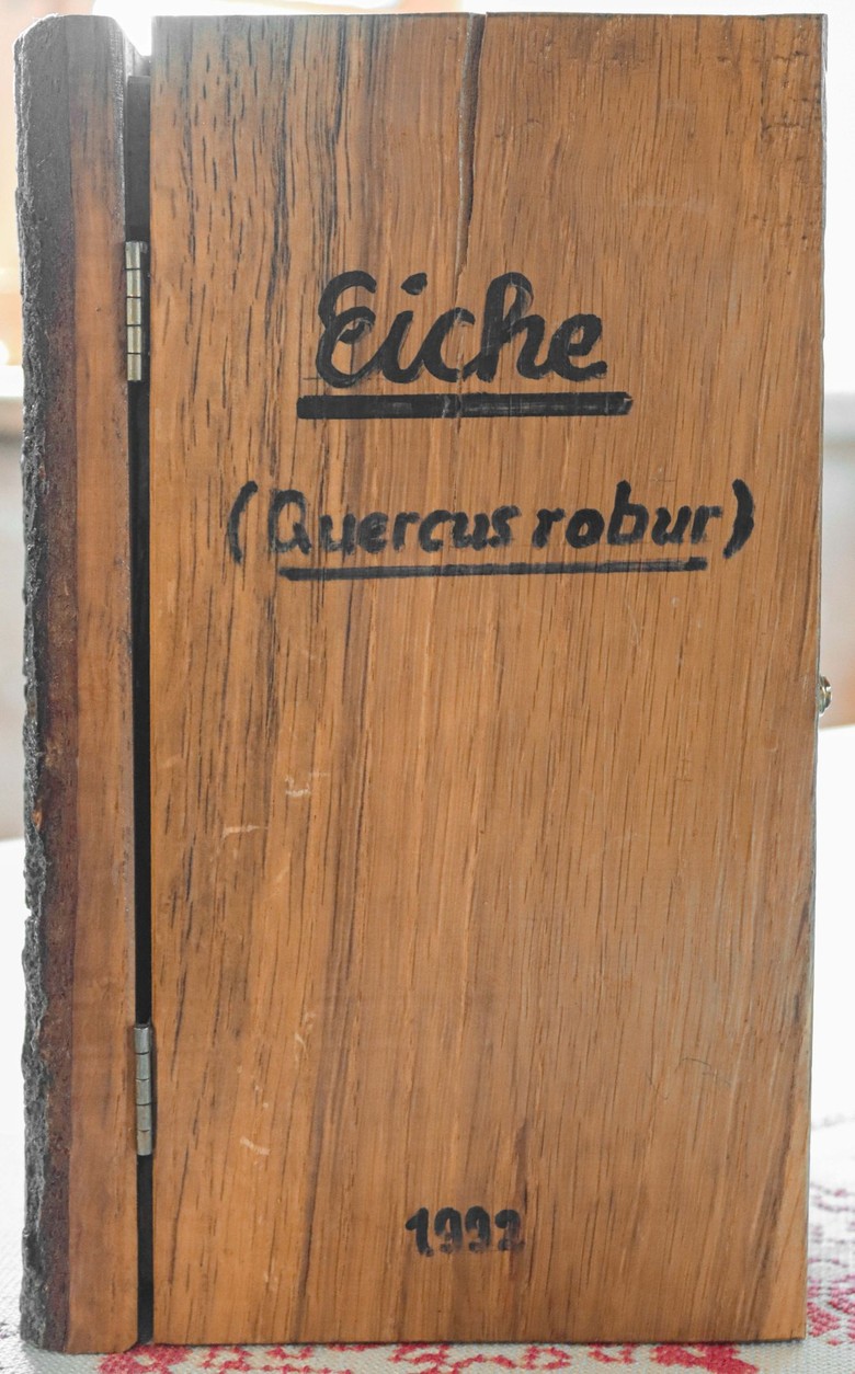 Eine Eiche in Buchform - ein Beispiel für ein Holzbuch der Xylothek. Der Buchtitel trägt den Namen des Baumes in deutscher und lateinischer Sprache. Foto: Simon Hausstetter