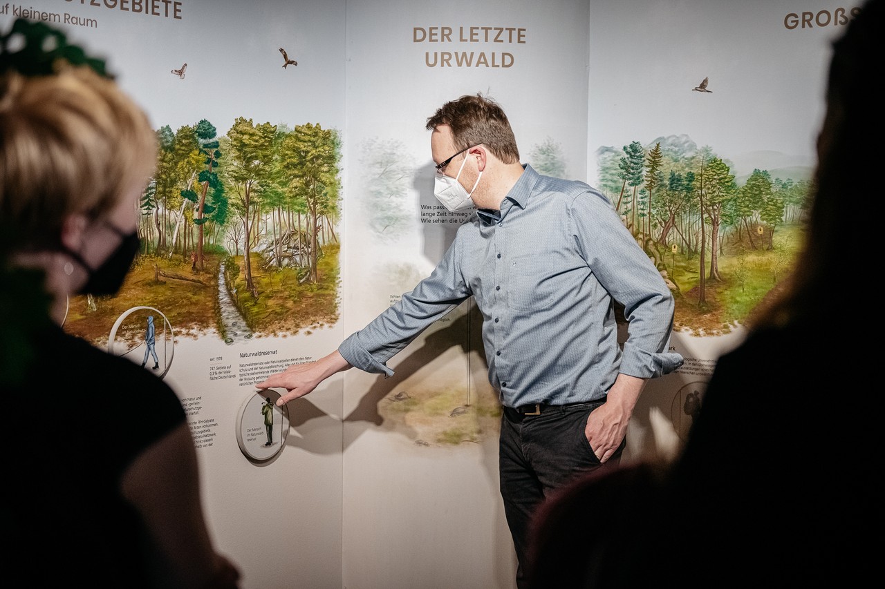Das von der Designstudentin Laisa Cordes gestaltete Wandbild handelt vom Naturschutz im Wald und ist jetzt in der Ausstellung „Alleskönner Wald“ im LWL-Museum für Naturkunde zu sehen. Foto: LWL/Steinweg und Grafik: FH Münster/Laisa Cordes
