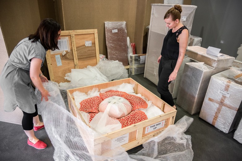 Die Ausstellungsmacherinnen Lisa KLepfer und Michaela Klösener packen das Pflanzenmodell aus der Transportkiste aus.