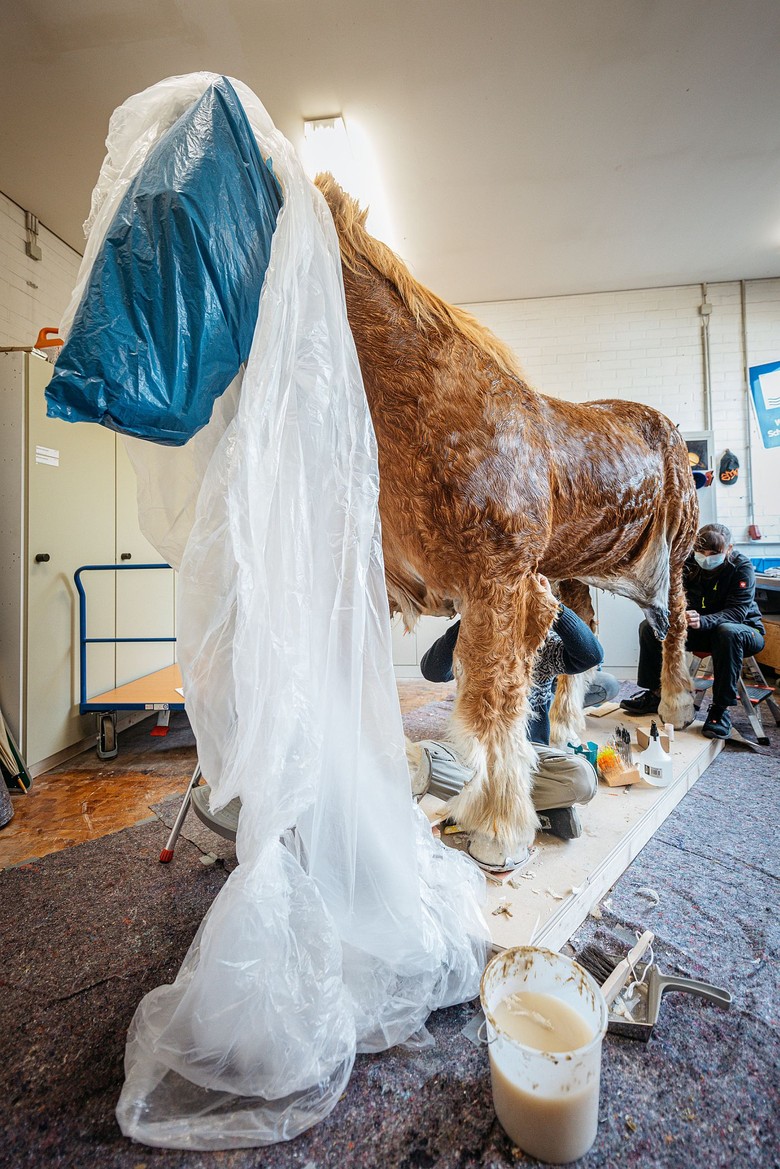 Während der Präparation des Pferdekörpers wird der Kopf des Tieres mit einer Plastiktüte vor Austrocknung geschützt. Foto: LWL/Steinweg