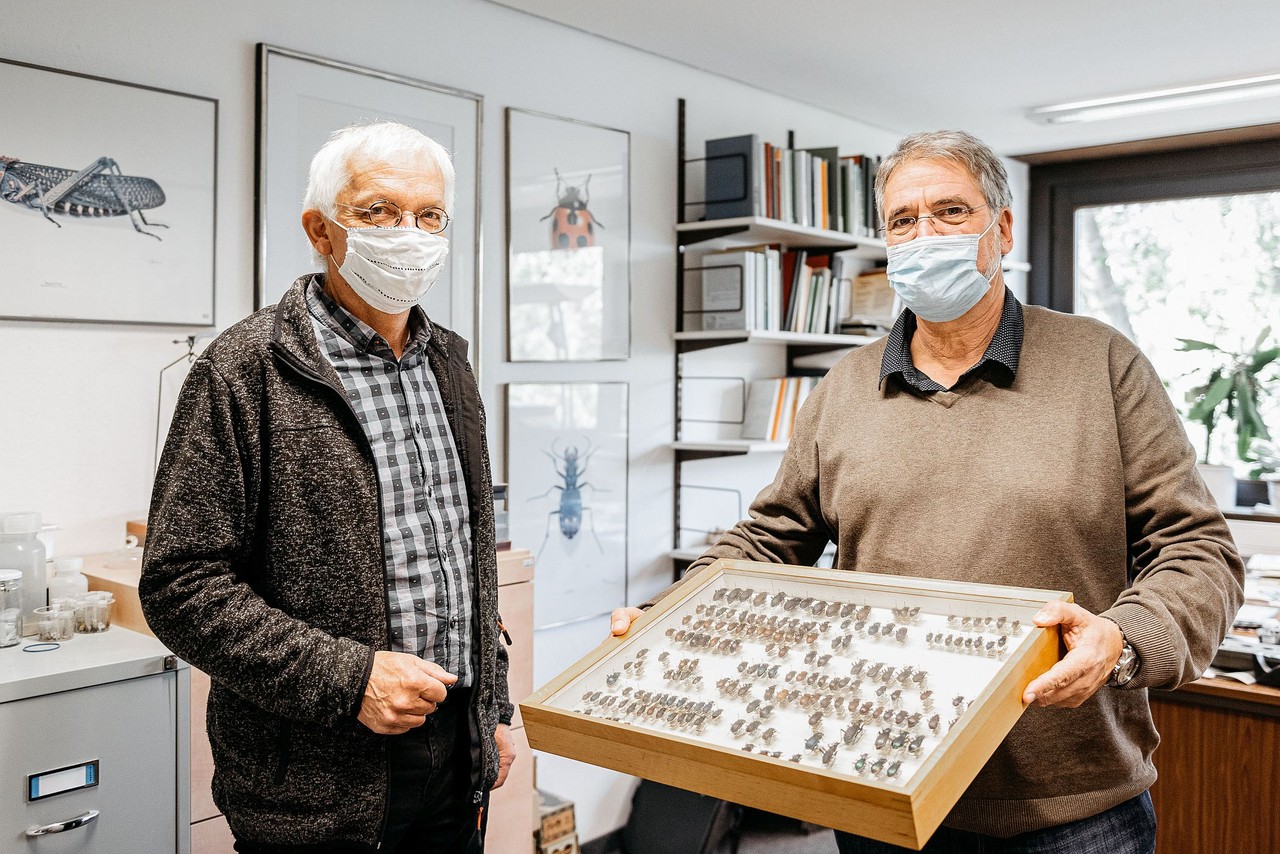 Dr. Heinrich Terlutter vom LWL-Museum für Naturkunde (links im Bild) freut sich über die Schenkung der Insektensammlung, die Mitarbeiter von Wolfgang Effing (rechts im Bild) von der Firma Rümpelfix bei einer Haushaltsauflösung fanden. Foto: LWL, Steinweg