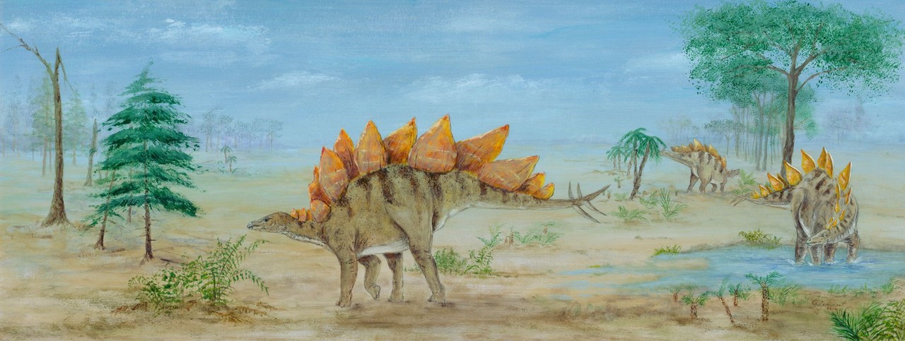 Stegosaurier. Gemälde: LWL, Clement