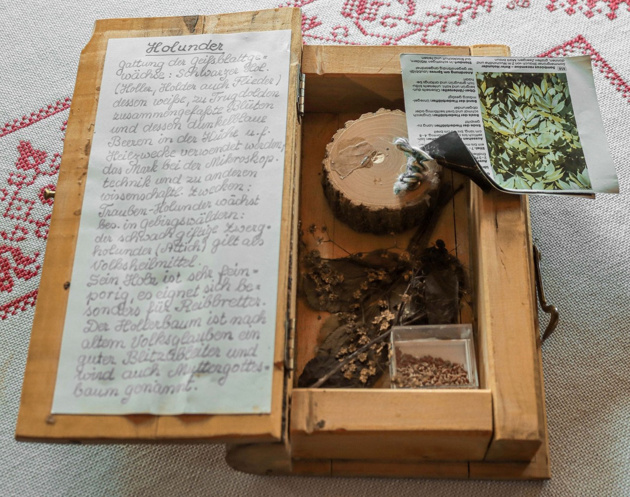 Jedes Buch enthält im Inneren Blätter, Nadeln, Früchte und Samen sowie eine ausführliche Beschreibung der jeweiligen Holzart. Foto: Simon Hausstetter