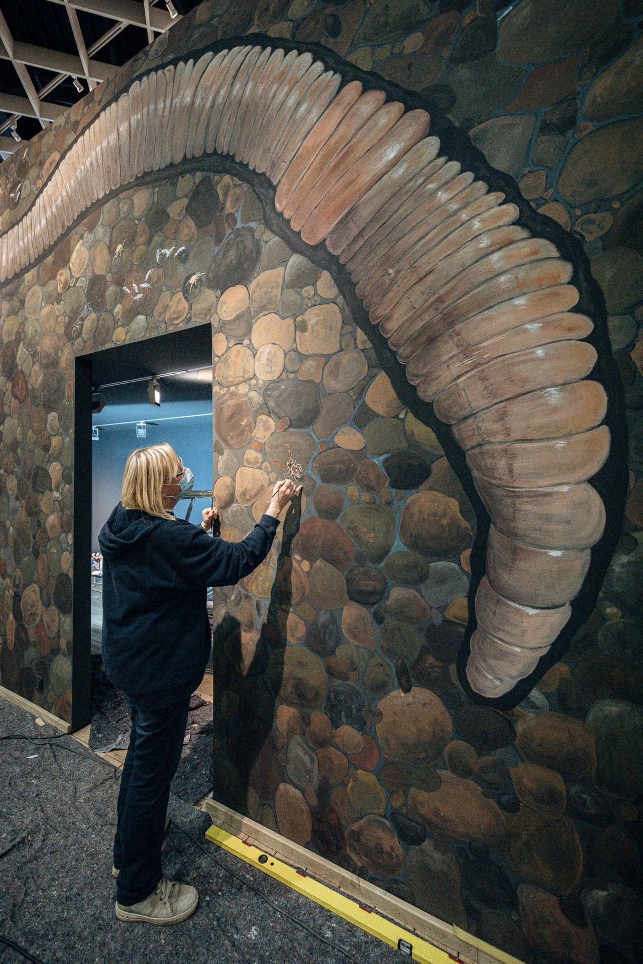 Bekannte Bodenbewohner wie der Regenwurm, aber auch unbekannte Arten werden von Beatrix Clement um ein Vielfaches vergrößert auf der Wand zum Leben erweckt. Foto: LWL/Steinweg