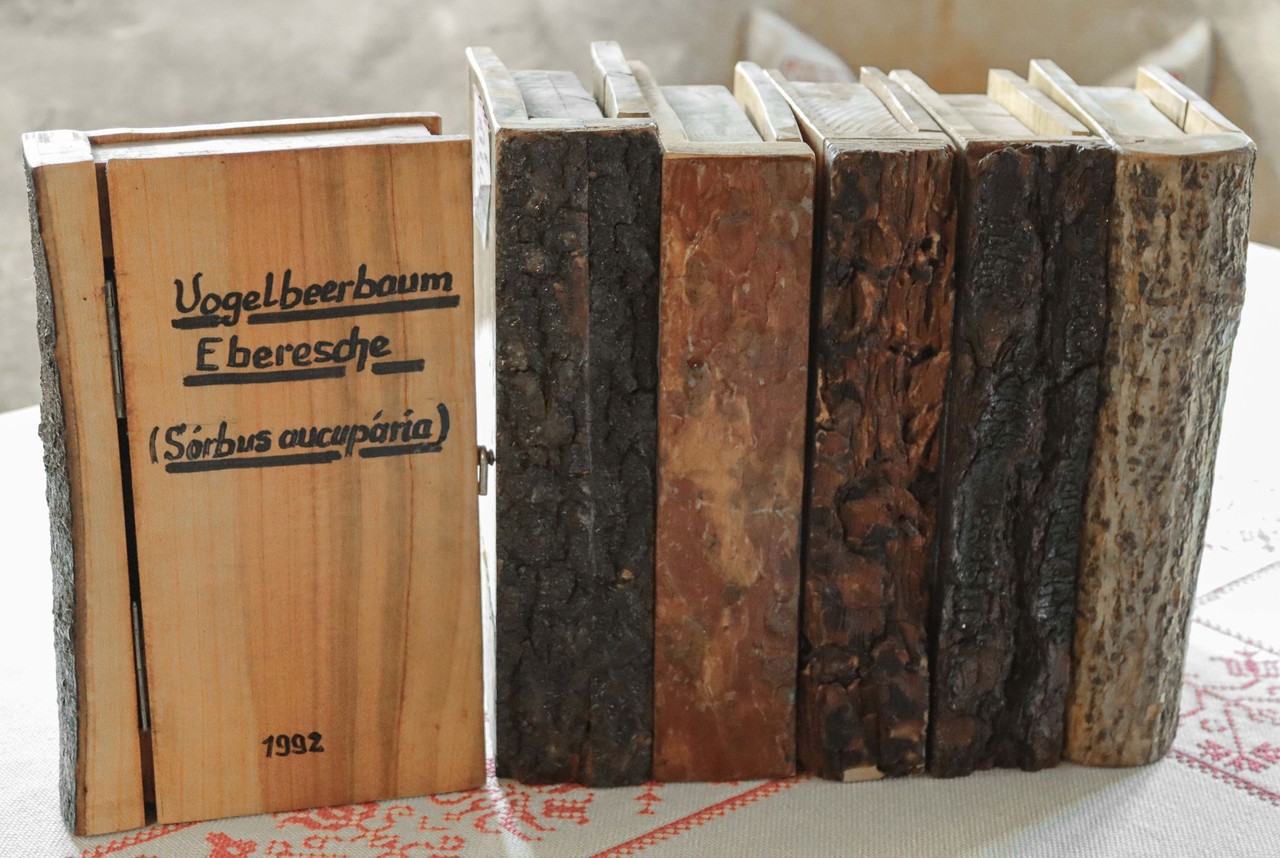 Die sechs Bände aus dem Bauernhausmuseum Rohrdorf im Achentaler Heimathaus der seltenen, modernen Xylothek sind ab dem 25. Juni in der Sonderausstellung "Alleskönner Wald" in Münster zu sehen. Foto: Simon Hausstetter