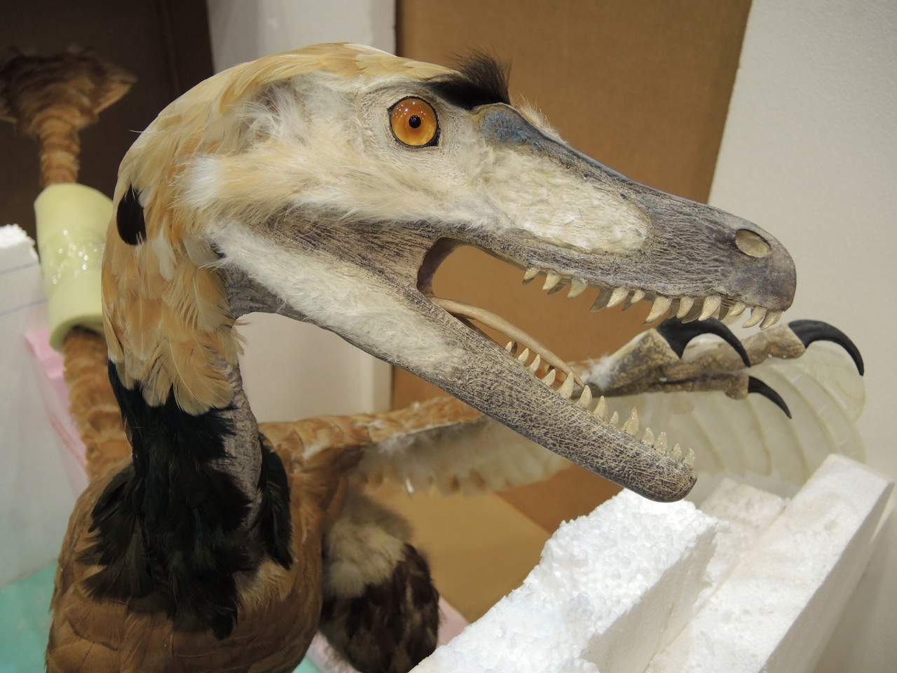 Modell eines Velociraptors. Foto: LWL, Fialla